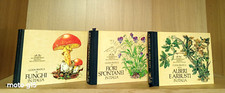 Guida pratica fiori usato  Varese