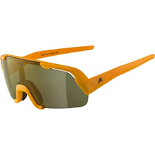 Alpina unisex bambini usato  Roccagloriosa