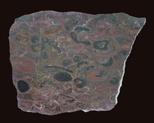 Polished end cut for sale  Creston