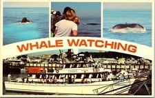 Finback humpback whale for sale  Sparta