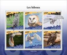 2025 togo owls d'occasion  Brunoy