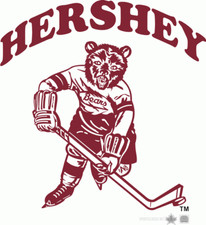 Usado, Camiseta Hershey Bears AHL Hóquei Logotipo Vintage Bordada P-6XL, LT-4XLT Nova comprar usado  Enviando para Brazil