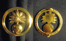 Insigne militaire béret d'occasion  Meung-sur-Loire