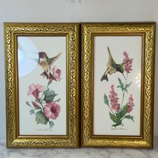 Vintage hummingbird prints for sale  Pilot Mountain