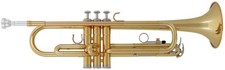 Tromba sib yamaha usato  Cinquefrondi