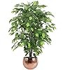 Leaf design piante usato  Italia