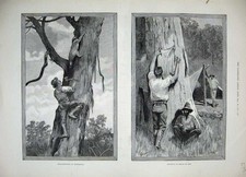 Old antique print for sale  UK