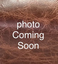 Dark brown chestnut for sale  SMETHWICK