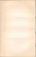Holzschnitt holzstich 1903 gebraucht kaufen  Sibbesse