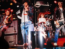 Ramones poster 20x28 gebraucht kaufen  Bad Kreuznach