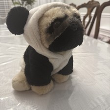 Cute pug dog for sale  Jacksonville
