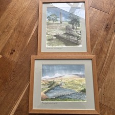 Stunning original watercolour for sale  YELVERTON