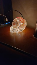 Resin skull lights for sale  SOUTHAMPTON