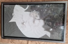 b o fernseher gebraucht kaufen  Speicher