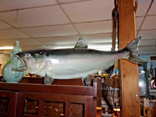 Vintage king salmon for sale  Stuart