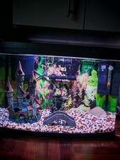 64l fish tank for sale  LONDON