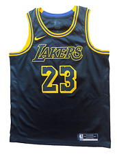 Rare lebron james gebraucht kaufen  Würzburg