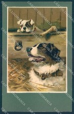 Animali cane san usato  Gambolo