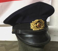 Schirmmütze ddr nva gebraucht kaufen  Dallgow
