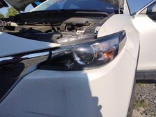 Used left headlight for sale  Douglassville