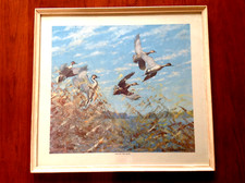 Vintage framed richard for sale  Sterling