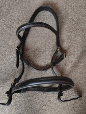 Hand brown cob for sale  DUMBARTON