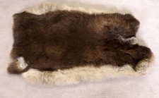 Schönes hasenfell länge gebraucht kaufen  Kirchberg
