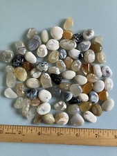 Polished oregon coast for sale  Bend