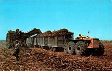 Cartão postal agrícola, carregador de cana-de-açúcar, United States Sugar Co., CLEWISTON, Flórida comprar usado  Enviando para Brazil