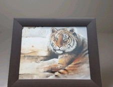 Bild tiger tigerbild gebraucht kaufen  Elsdorf