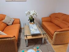 Zweisitzer rattan polsterung gebraucht kaufen  Altenholz