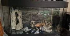 Juwel fish tank for sale  PETERBOROUGH