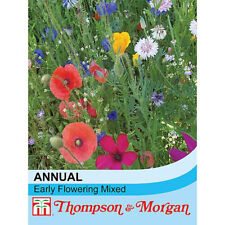 Annual early flowering for sale  IPSWICH