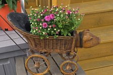 Antique wicker doll for sale  Voluntown