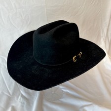 Stetson stallion cowboy for sale  San Jose
