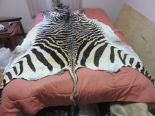 Zebra hide wall for sale  Mc Lean