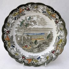 Vintage ridgway dinner for sale  WARRINGTON