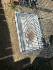 Large bird cage for sale  HIGH WYCOMBE