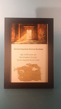 Genuine egyptian mummy for sale  HINCKLEY