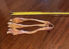 Deer sinew for sale  SPEAN BRIDGE