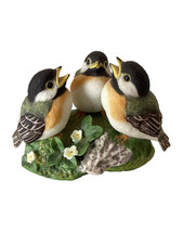 Black capped chickadees for sale  CLECKHEATON