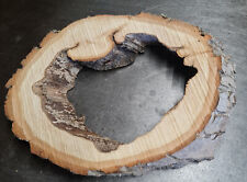 Hohle baumscheibe holzscheibe gebraucht kaufen  Laage