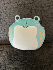 squishmallows frog for sale  WORKSOP