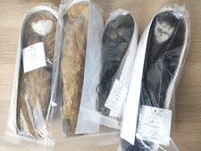 Bjd msd sdm for sale Bjd msd sdm for sale  KILMARNOCK