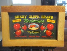 Caggiano sons sunny for sale  Donalsonville