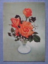 Cartão postal antigo Ak Roses Rosaceae Planet Publisher Berlim. Schmidt comprar usado  Enviando para Brazil