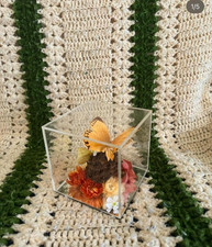 Vintage yellow butterfly for sale  Conroe