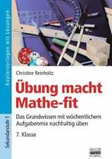 übung macht mathe gebraucht kaufen  Stuttgart