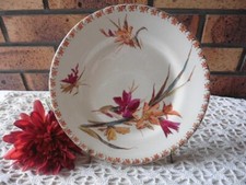 Ancienne assiette plate d'occasion  Commentry