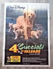 Locandina poster cuccioli usato  Dozza
